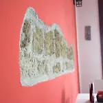 Vic' Street Bed and Breakfast